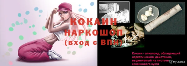 ГАЛЛЮЦИНОГЕННЫЕ ГРИБЫ Киреевск